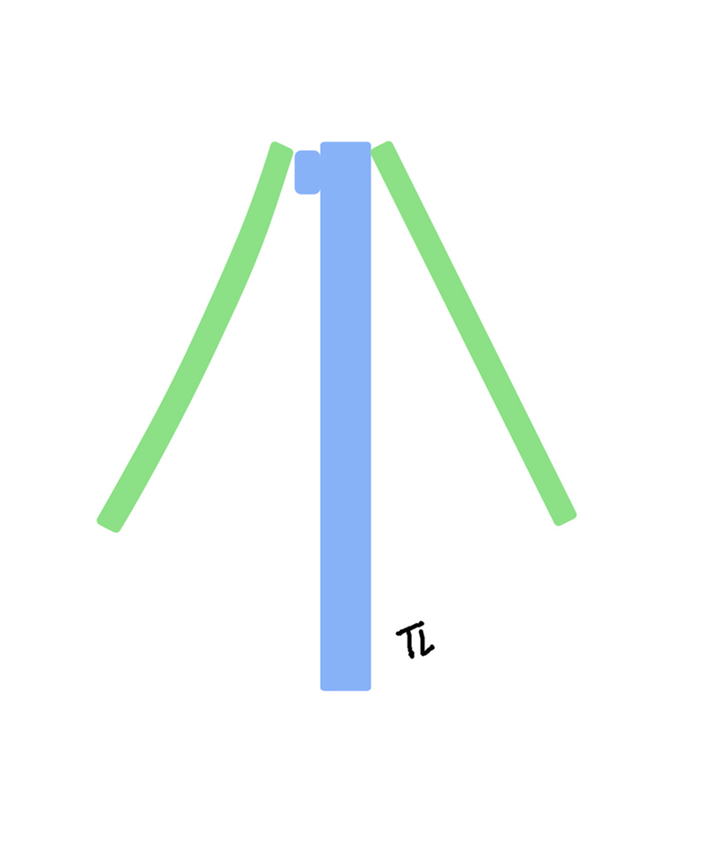 Right spreader graft cross section schematic